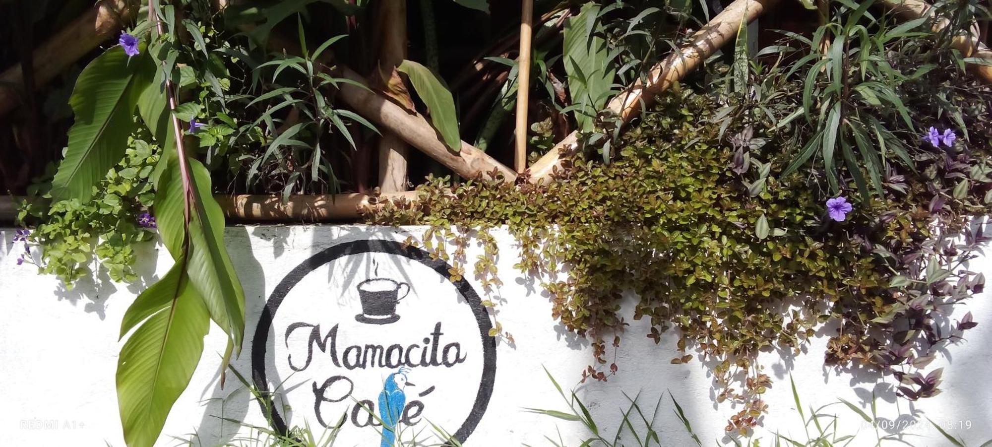 Hotel Mamacita Cafe House Moyogalpa Exteriér fotografie